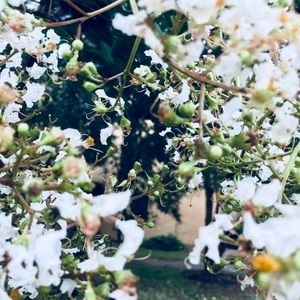 Meet your Posher, Chloe